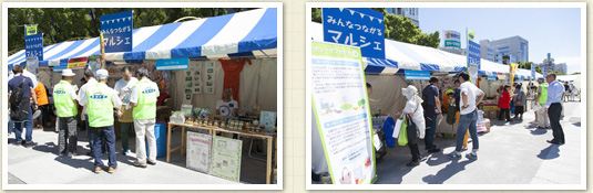 生物多様性を学ぼう！野外生物観察館