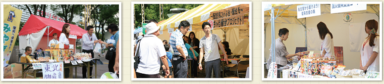 “生物多様性”横丁の様子